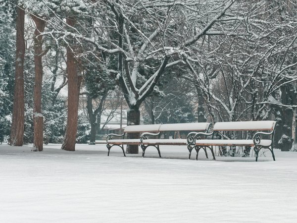 Comment reconnaître une crise de pemphigus vulgaire ?