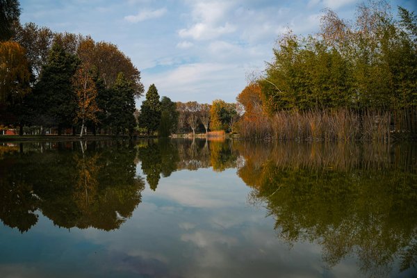 Quelles précautions prendre pour les soins capillaires et les traitements esthétiques pendant la grossesse ?