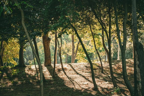 Découvrez la sonopuncture pour votre bien-être